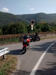 Am Rhein Richtung Henschhausen.JPG