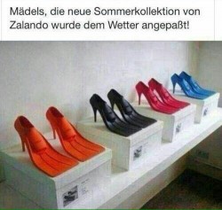 Schuhflossen.jpg