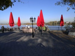 Bisslicher Insel Blick auf den Rhein