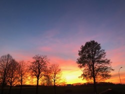 Balkon Grevenbroich gestern 20:15