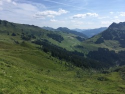 Alpen Sommer 2019