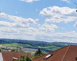 Ausblick von der Terrasse...