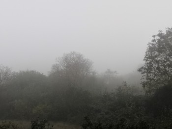 Nebelsuppe, Sicht max. 500 Meter