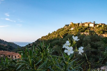 Mallorca_2018_0301.jpg