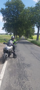 Allee mit Moped und mir.jpg