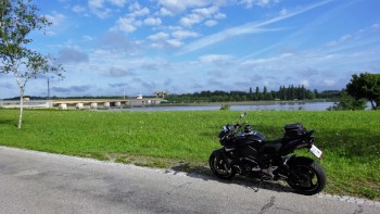 Donau führt Hochwasser