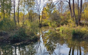 31.10.21 Engl.Garten.jpg