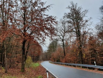 20211114_133123herbst.jpg