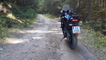 leider etwas unscharf..und man sieht auf den Fotos natürlich nicht wie steil das war im Wald :)