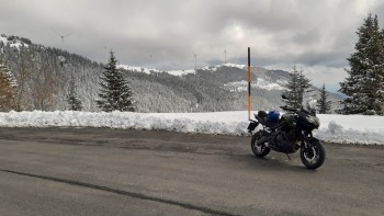 Und so sieht es dann oben aus (ca. 1650m). Kalt, salzig und rutschig..aber dafür Winterwonderland