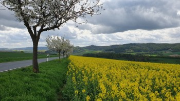 Rühler Schweiz