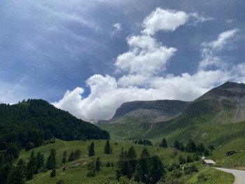 IMG_8762.jpeg