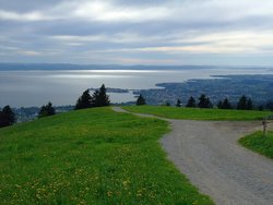 Zwischen Pfänder und Scheidegg