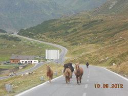 Silvretta 10.09.12 039.JPG